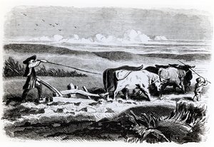 Ilustración de 
